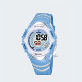 PASNEW PSE-308GB