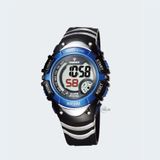 PASNEW PSE-308GB