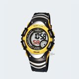 PASNEW PSE-308GB