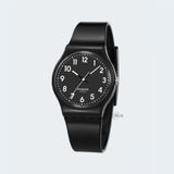 PASNEW PSE-401B