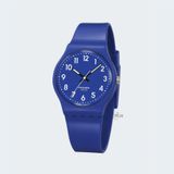 PASNEW PSE-401B