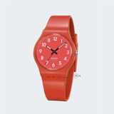 PASNEW PSE-401B
