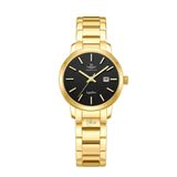 SRWATCH SL3010CV