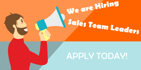  Team Leader - Sales MT 