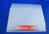Giấy Ép Plastic CP10 A3 (Khổ 30x40cm)