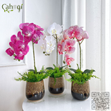 Bình Hoa Cắm Sẵn - Chậu Lan Hồ Điệp Cao Su 1 Cành 55x15 Cm