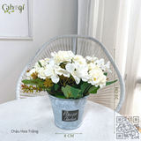 Chậu Cốc Hoa Cẩm Tú Cầu Vintage 20 Cm