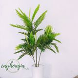 Cây Giả- Cây Dừa 1M4