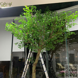 Thi Công Cây Đào Giả Cây Si Giả Cây Phong Đỏ Cho Quán Cafe True Home