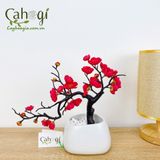 Chậu Đào Ta Cắm Sẵn Nghệ Thuật