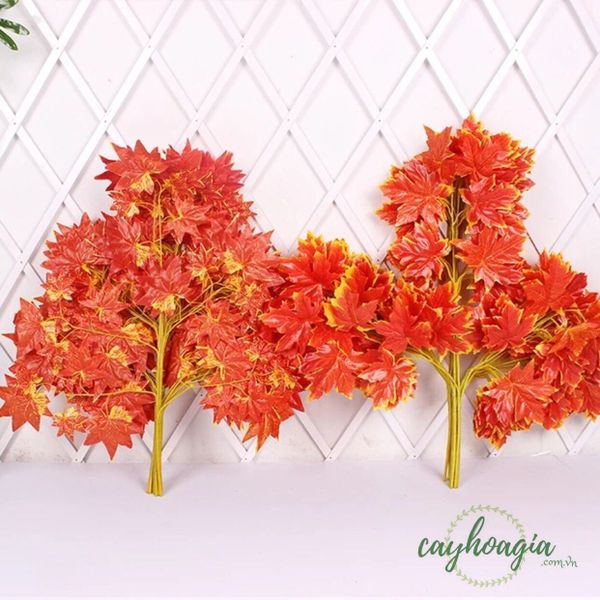 cayhoagia.com.vn