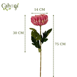 Hoa Giả - Cúc Đại Đóa Bông Lớn 75 Cm