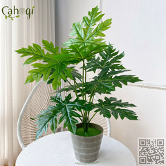 Cây Giả - Cây Bàng Singapo 42 Cm