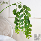 Chùm Lá Giả Rủ - Cành 3 Nhánh Lá Táo Tàu 80 Cm