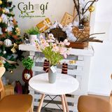 Hoa Giả - Chùm Hoa Cánh Bướm 4 Bông 50 cm