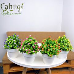 Chậu Cây Giả Trang Trí Để Bàn Cỡ Nhỏ 20x 20 Cm Bộ 1