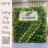 Thi Công Tường Cây Nhân Tạo Sảnh Văn Phòng Công Ty 3T Việt Nam