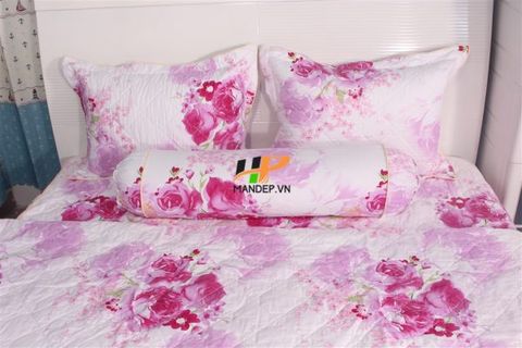 Bộ Drap Cotton Chần Gòn Korea Hà Phương TL-010