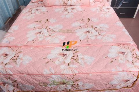 Bộ Drap Cotton Chần Gòn Korea Hà Phương TLA-076