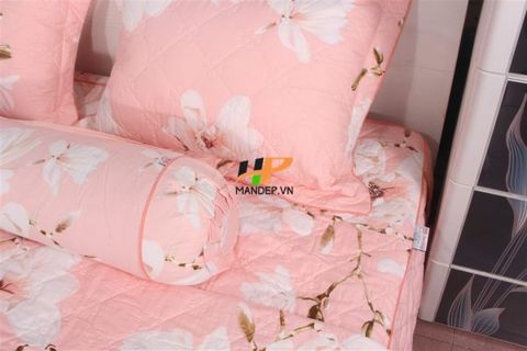 Bộ Drap Cotton Chần Gòn Korea Hà Phương TLA-076