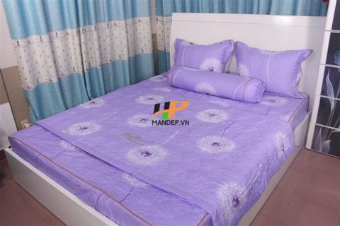  Bộ Drap Cotton Chần Gòn Korea Hà Phương TLA-079 