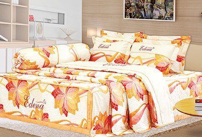 Bộ Drap Cotton Print ED432