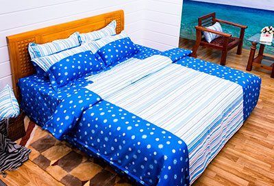 Bộ Drap Cotton Print ED438