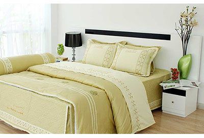  Bộ Drap Cotton Đặc Biệt ED505 