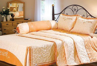 Bộ Drap Cotton Đặc Biệt ED504