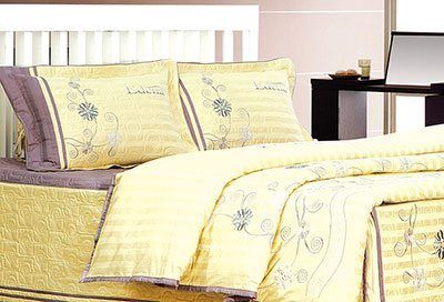  Bộ Drap Cotton Đặc Biệt ED509 