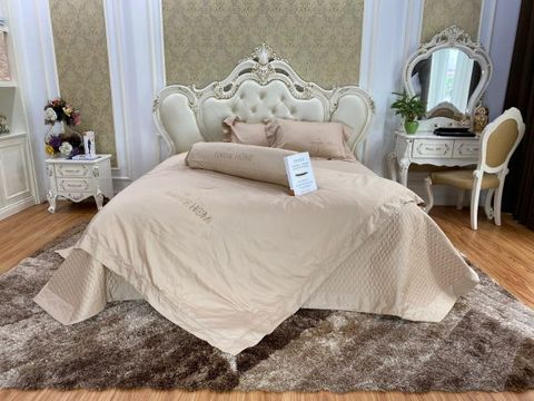 Bộ chăn ga Nature Home Cotton ST603 Vàng Kem