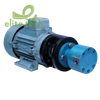Bơm Bánh Răng DURGA DRMP – Lubrication Pump (Rotary Mini Pump)