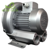 Máy Thổi Khí ATLANTIC AB-100 - Regenerative Blowers