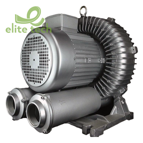 Máy Thổi Khí ATLANTIC AB-800 - Regenerative Blowers