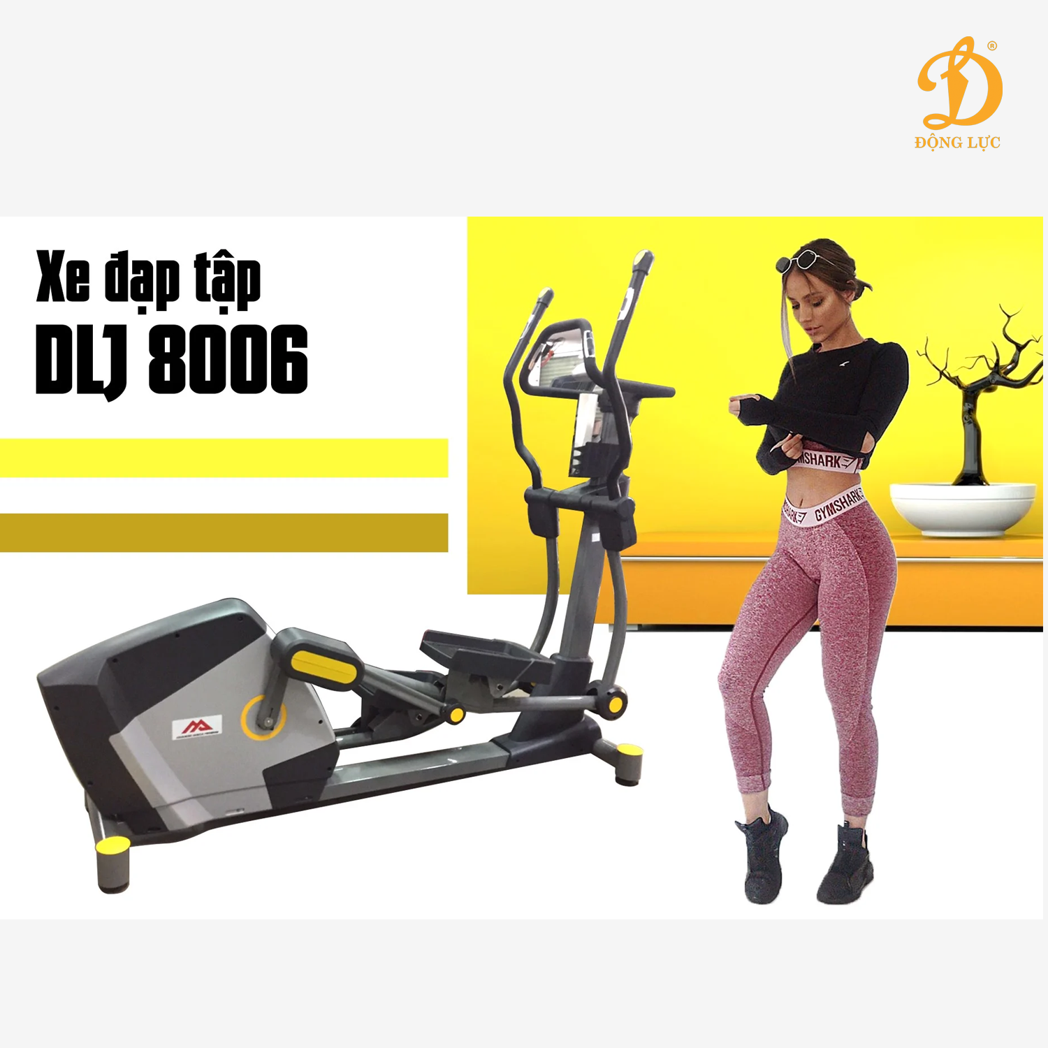  XE ĐẠP ĐA NĂNG DLJ 8006 