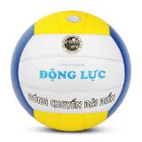  BÓNG CHUYỀN DLB 230C 