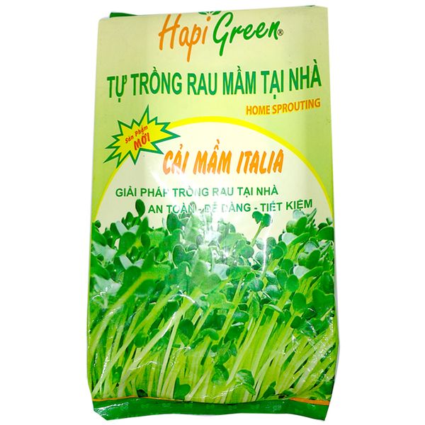  Bộ trồng rau tại nhà hạt giống cải mầm Italia  Hapi Green 