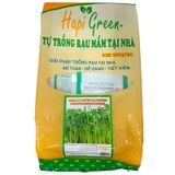  Bộ trồng rau tại nhà hạt mầm rau muống  Hapi Green 