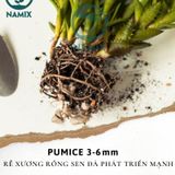  Đá Pumice Namix – Đá bọt size nhỏ 3 - 6 mm bộ 2 bao x 5 dm3 