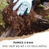  Đá Pumice Namix – Đá bọt size vừa 5 - 8 mm bộ 2 bao x 5 dm3 