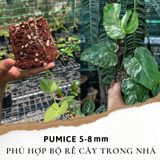  Đá Pumice Namix – Đá bọt size vừa 5 - 8 mm bao 5 dm3 