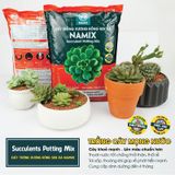  Đất trồng xương rồng sen đá Namix Succulents Potting Mix bộ 2 bao x 5 dm3 