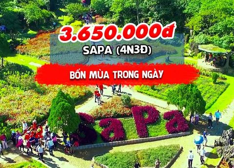  TOUR MIỀN BẮC: SAPA – BỐN MÙA TRONG NGÀY (4N3Đ) 