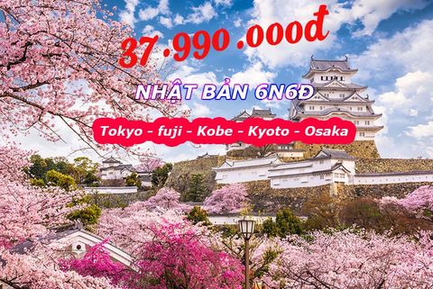  TOUR NHẬT BẢN: TOKYO - NIKKO - FUJI - KYOTO - OSAKA (6N6Đ) 