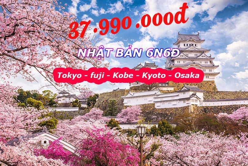 TOUR NHẬT BẢN: TOKYO - NIKKO - FUJI - KYOTO - OSAKA (6N6Đ)