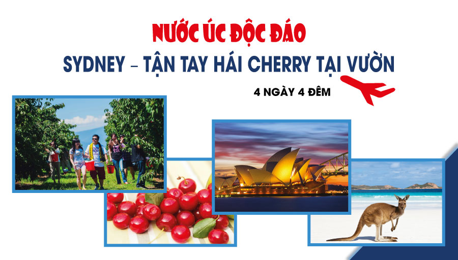 TOUR ÚC: SYDNEY - CHERRY FARM (4N4Đ)