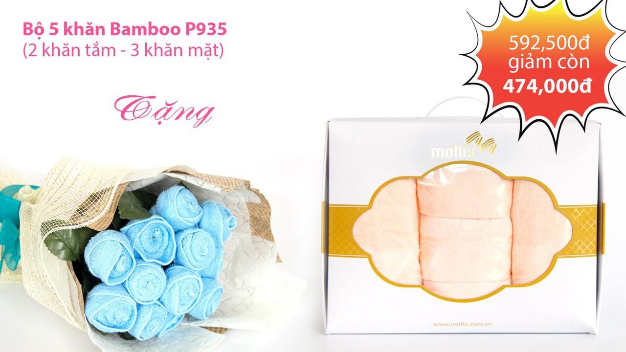 Bộ hộp khăn quà tặng Mollis - P935