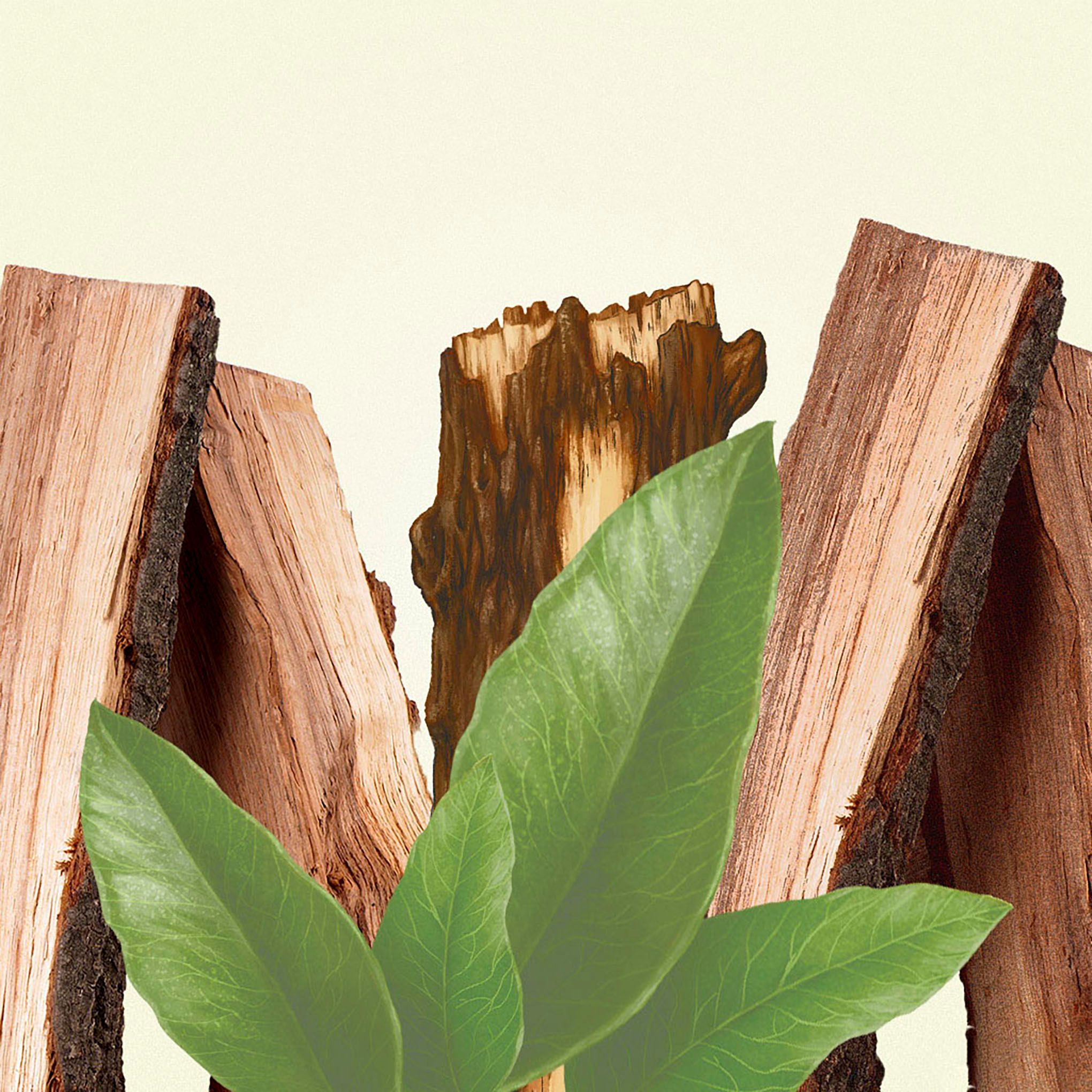 Sữa Tắm OLD SPICE TIMBER 473ml