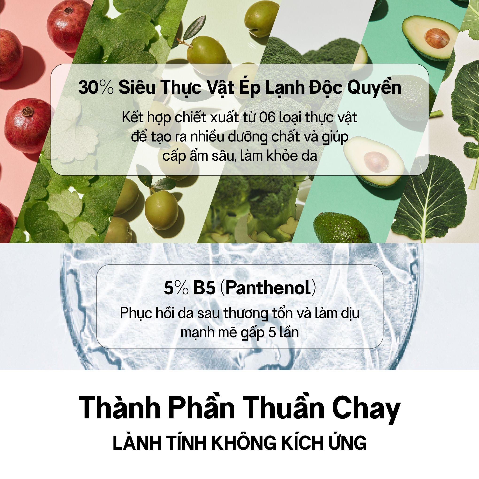 Kem Dưỡng Da Vegick (Superfood + B5 Moisture Cream, 50Ml)
