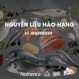  NT Subzero cho Chó (hạt nhỏ) - Gà tây, cá hồi, cá trích, cá tuyết và rau củ quả tự nhiên (Cho mọi giống chó ở mọi lứa tuổi) 